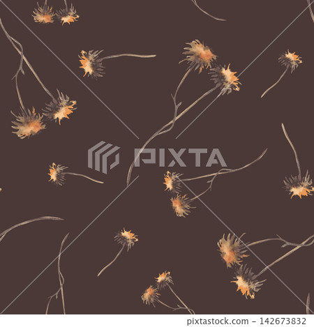 Watercolor Autumn dried wildflower, resembling thistle seamless botanical pattern. Realistic hand drawing illustration in boho style earthy brown, beige on isolated dark background design for fabric. Watercolor Autumn dried wildflower, resembling thistle seamless botanical pattern. Realistic hand drawing illustration in boho style earthy brown, beige on isolated dark background design for fabric. 142673832
