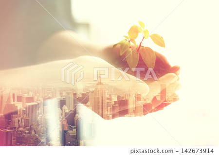 Double exposure, soil and plant in hands with city overlay for earth day, sustainability and eco friendly. Climate change, urban and environment protection for growth and future with dirt and town Double exposure, soil and plant in hands with city overlay for earth day, sustainability and eco friendly. Climate change, urban and environment protection for growth and future with dirt and town 142673914