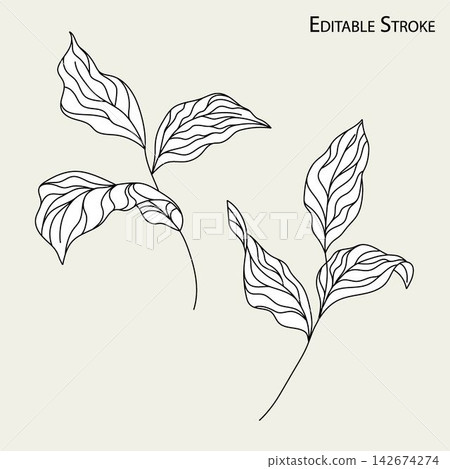 Three green leaves on thin branch. Editable stroke Three green leaves on thin branch. Editable stroke 142674274