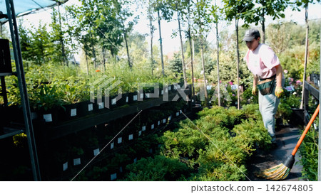 A professional female gardener works in a garden center or nursery, caring for plants, overseeing watering, fertilizing, pruning, replanting, and pest control. She ensures the plants are healthy A professional female gardener works in a garden center or nursery, caring for plants, overseeing watering, fertilizing, pruning, replanting, and pest control. She ensures the plants are healthy 142674805