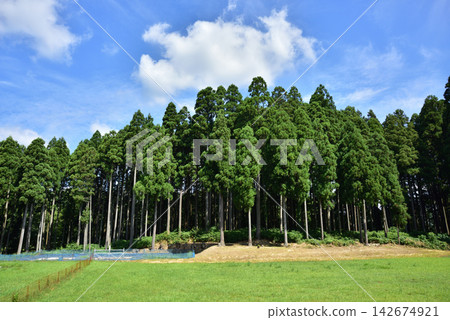 Rural summer scenery, summer, summer image scenery, summer vacation image Rural summer scenery, summer, summer image scenery, summer vacation image 142674921