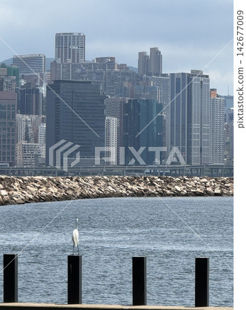 Panoramic view of Hong Kong city skyline and Victoria Harbour with modern skyscrapers under a bright daylight sky 142677009