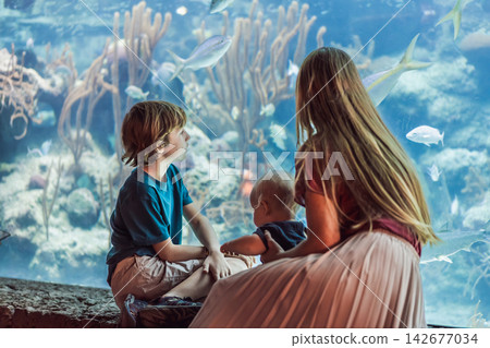 Family sits together by a bright marine tank, showing ocean education, travel with kids, sibling curiosity and underwater wildlife concept Family sits together by a bright marine tank, showing ocean education, travel with kids, sibling curiosity and underwater wildlife concept 142677034