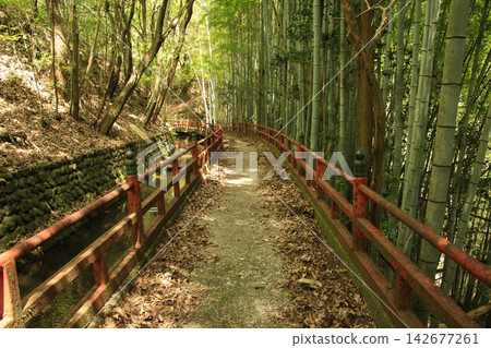 愛媛郡松山市脅淵公園步道 愛媛郡松山市脅淵公園步道 142677261