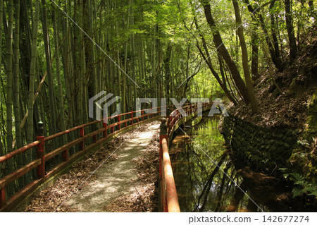 愛媛郡松山市脅淵公園步道 142677274