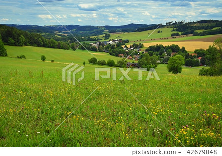 Golden grain field with rolling green hills and village of Blatiny in Vysocina region - bohemian moravian highlands. Golden grain field with rolling green hills and village of Blatiny in Vysocina region - bohemian moravian highlands. 142679048
