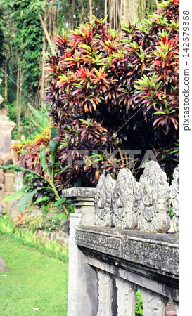Stone garden railing borders lush tropical foliage and colorful ornamental leaves in serene landscaped garden. Weathered balustrade and dense greenery create tranquil botanical texture. Stone garden railing borders lush tropical foliage and colorful ornamental leaves in serene landscaped garden. Weathered balustrade and dense greenery create tranquil botanical texture. 142679368