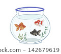 一幅插圖，描繪了一個金魚缸，裡面有三種不同類型的金魚在游泳。 142679619