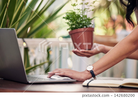 Woman, hand and laptop with pot plant and notebook, online and botanical business for sustainable innovation. Start up, growth tips and ecommerce planning or gardening, ecology and nature search Woman, hand and laptop with pot plant and notebook, online and botanical business for sustainable innovation. Start up, growth tips and ecommerce planning or gardening, ecology and nature search 142680200