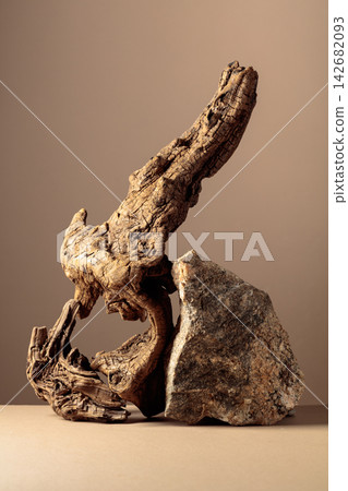 Old dry wooden snag and large crushed granite stone on a beige background. Old dry wooden snag and large crushed granite stone on a beige background. 142682093