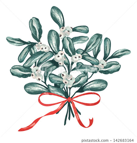 Watercolor Mistletoe Bouquet with White Berries and Red Ribbon Isolated on White Watercolor Mistletoe Bouquet with White Berries and Red Ribbon Isolated on White 142683164