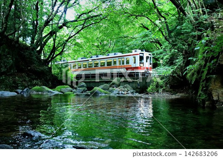 「6050系列」列車駛過龍王峽溪流,在潺潺的流水聲中緩緩駛離。 「6050系列」列車駛過龍王峽溪流,在潺潺的流水聲中緩緩駛離。 142683206