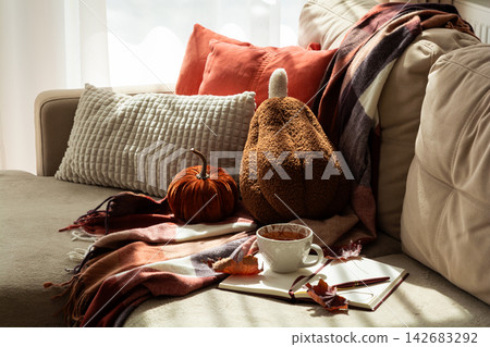 Cozy Autumn Evening Setup With Pumpkins And Warm Drink In Sunlight Cozy Autumn Evening Setup With Pumpkins And Warm Drink In Sunlight 142683292