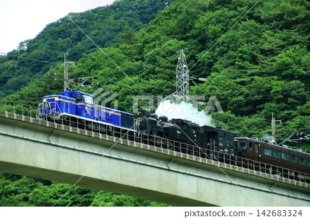 The train travels across the lush green sky... The [SL Taiki Tsuchitsu] C11325 + DE101109 runs through Kawaji Onsenkyo. 142683324