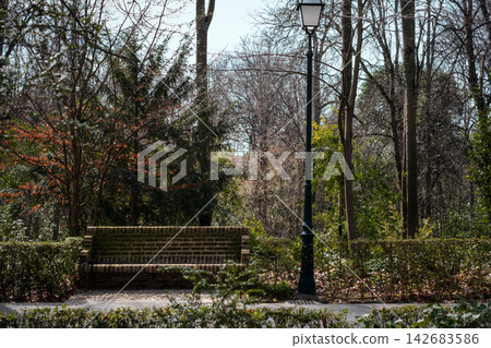 Park bench and lamppost providing a peaceful resting spot and illumination amidst green shrubbery and budding trees Park bench and lamppost providing a peaceful resting spot and illumination amidst green shrubbery and budding trees 142683586
