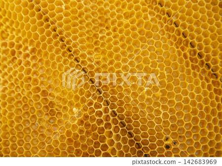 Close up shot showing the golden, geometric pattern of natural beeswax honeycomb found in a beehive in a sunny location 142683969