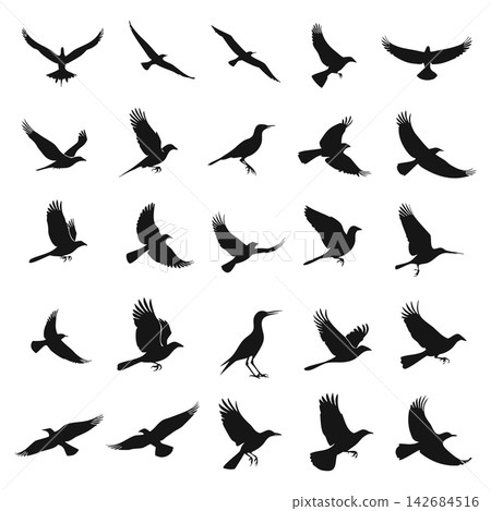 The image shows a black-and-white grid of twenty-five different bird silhouettes in various poses The image shows a black-and-white grid of twenty-five different bird silhouettes in various poses 142684516