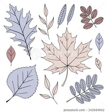 The image shows a digital illustration depicting a collection of hand-drawn autumn leaves in soft pastel shades The image shows a digital illustration depicting a collection of hand-drawn autumn leaves in soft pastel shades 142684602