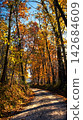 path in the autumn forest 142684609