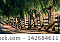 wooden fence in the park 142684611