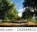 path in the park 142684612