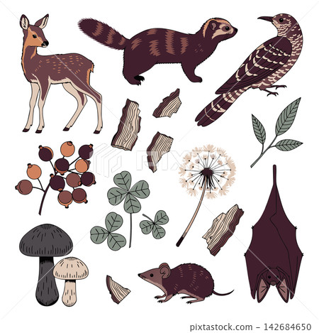 The image shows a set of hand-drawn illustrations of forest animals and plants 142684650