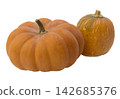 Pumpkin Season. Autumn pumpkin season. Modern design elements. Seasonal celebration. transparent,png 142685376