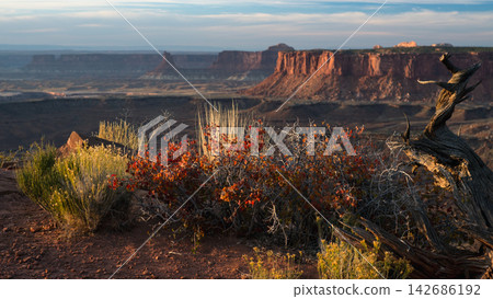 Desert Canyon Landscape at Golden Hour with Red Rock Cliffs Desert Canyon Landscape at Golden Hour with Red Rock Cliffs 142686192