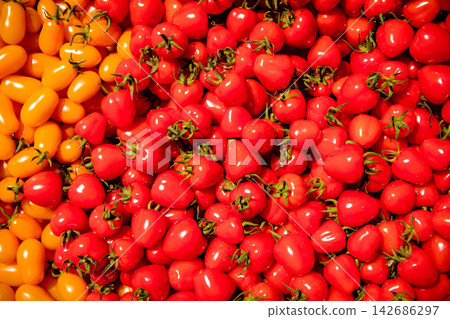 Fresh Cherry Tomatoes Background with Red and Orange Produce Fresh Cherry Tomatoes Background with Red and Orange Produce 142686297