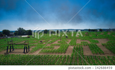 Corn Maze Farm Field with Dramatic Storm Clouds Corn Maze Farm Field with Dramatic Storm Clouds 142686459