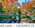 Ibaraki, Mito Kairakuen, Maple Valley 142686518