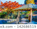 Ibaraki, Mito Kairakuen, Maple Valley 142686519