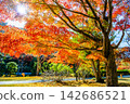 Ibaraki, Mito Kairakuen, Maple Valley 142686521