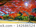 Ibaraki, Mito Kairakuen, Maple Valley 142686524