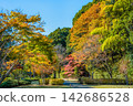 Ibaraki, Mito Kairakuen, Maple Valley 142686528