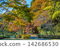 Ibaraki, Mito Kairakuen, Maple Valley 142686530