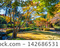Ibaraki, Mito Kairakuen, Maple Valley 142686531