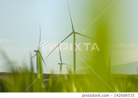 Wind Turbines in Green Field with Soft Grass Foreground Wind Turbines in Green Field with Soft Grass Foreground 142686535
