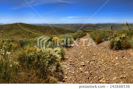 Panoramic Arid Mountain Landscape with Rocky Hiking Trail Panoramic Arid Mountain Landscape with Rocky Hiking Trail 142686536