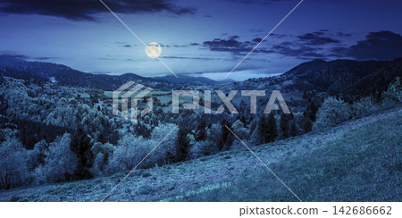 Moonlit Mountain Valley Panorama with Forest at Night Moonlit Mountain Valley Panorama with Forest at Night 142686662