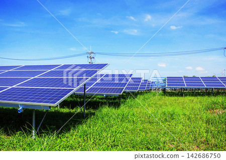 Solar Panels in Green Field Under Blue Sky Solar Panels in Green Field Under Blue Sky 142686750