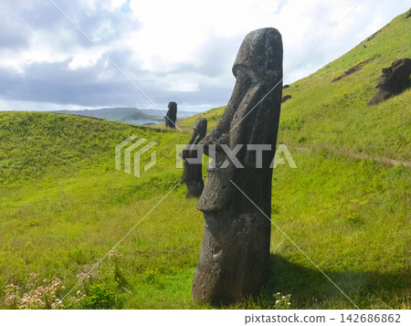 Moai Statues on Green Hillside at Easter Island 142686862
