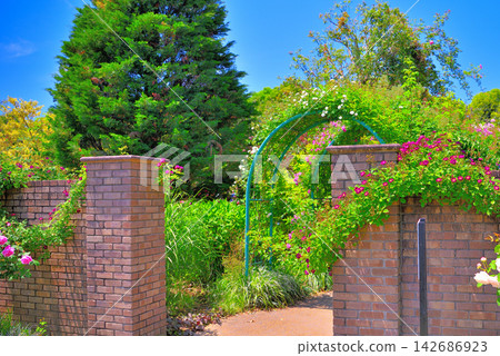A brick gate and rose arch mark the boundary of the rose garden area at Hanana Garden in Shonan, Kanagawa Prefecture (6) 142686923