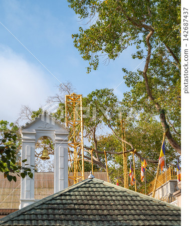 Jaya Sri Maha Bodhi sacred tree in Anuradhapura, Sri Lanka Jaya Sri Maha Bodhi sacred tree in Anuradhapura, Sri Lanka 142687437