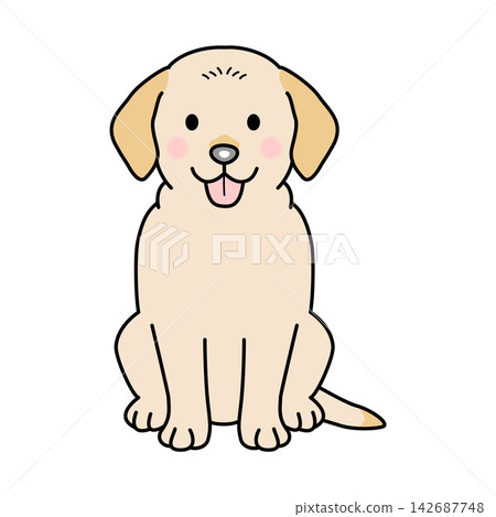 Vector illustration of a Labrador Retriever (full body) 142687748