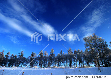 冬天陽光明媚的日子裡的冬天風景 冬天陽光明媚的日子裡的冬天風景 142687943