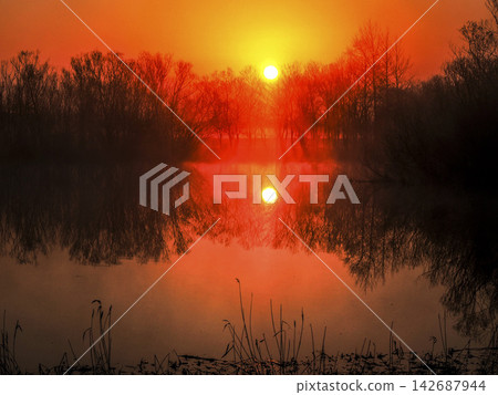 美妙的早晨 142687944