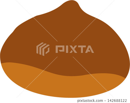 Chestnut Illustration Chestnut Illustration 142688122