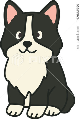 Black and White Dog Black and White Dog 142688559