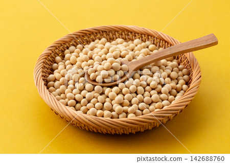 大豆黃背 大豆黃背 142688760